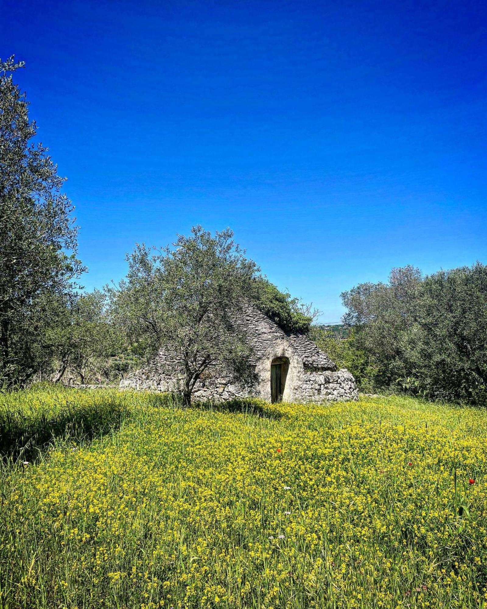 Casalento Bed & Breakfast Ceglie Messapica Exterior photo