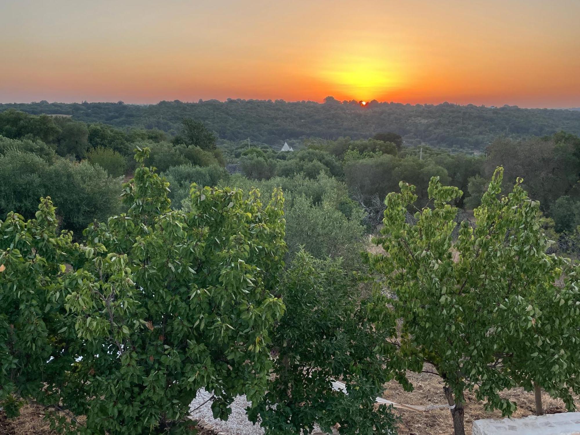 Casalento Bed & Breakfast Ceglie Messapica Exterior photo